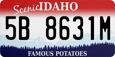 ID license plate 5B8631M
