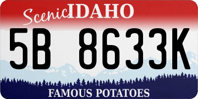 ID license plate 5B8633K