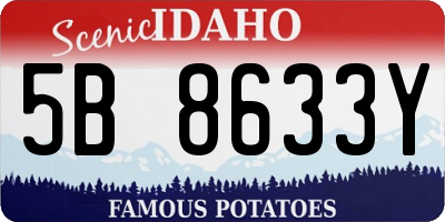 ID license plate 5B8633Y
