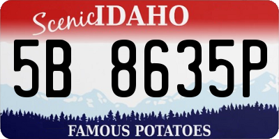 ID license plate 5B8635P
