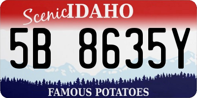 ID license plate 5B8635Y