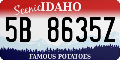ID license plate 5B8635Z