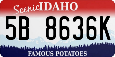 ID license plate 5B8636K