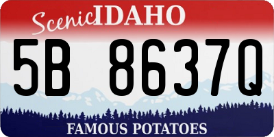 ID license plate 5B8637Q