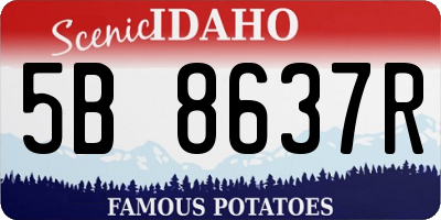 ID license plate 5B8637R