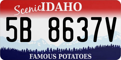 ID license plate 5B8637V