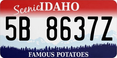 ID license plate 5B8637Z