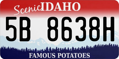 ID license plate 5B8638H