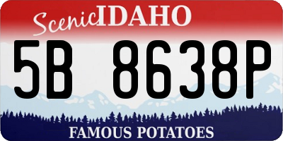 ID license plate 5B8638P