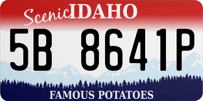 ID license plate 5B8641P