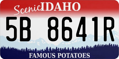 ID license plate 5B8641R