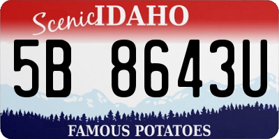 ID license plate 5B8643U