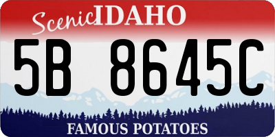 ID license plate 5B8645C