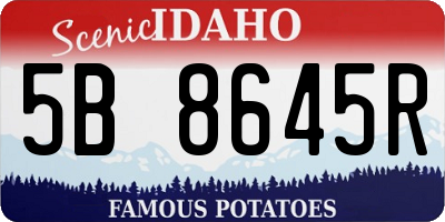ID license plate 5B8645R