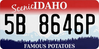 ID license plate 5B8646P