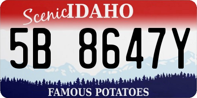 ID license plate 5B8647Y