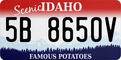 ID license plate 5B8650V