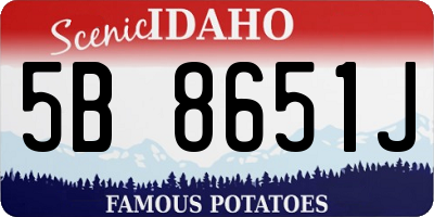 ID license plate 5B8651J