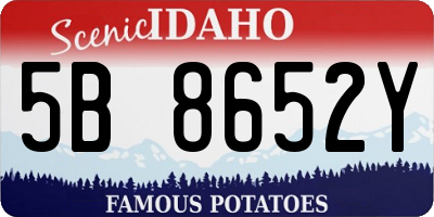 ID license plate 5B8652Y
