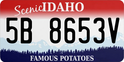 ID license plate 5B8653V