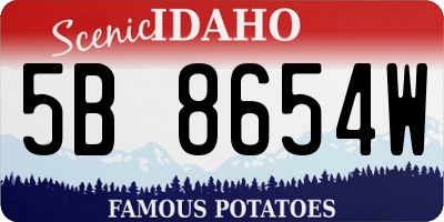 ID license plate 5B8654W
