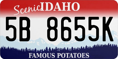 ID license plate 5B8655K