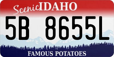 ID license plate 5B8655L