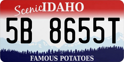 ID license plate 5B8655T