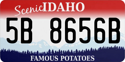 ID license plate 5B8656B