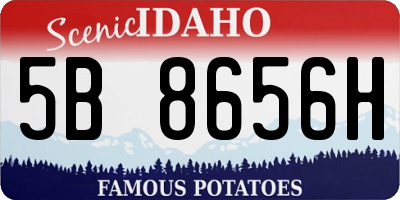 ID license plate 5B8656H