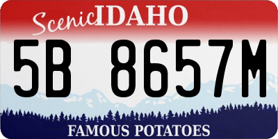 ID license plate 5B8657M