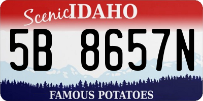 ID license plate 5B8657N