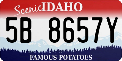 ID license plate 5B8657Y