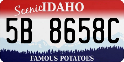ID license plate 5B8658C