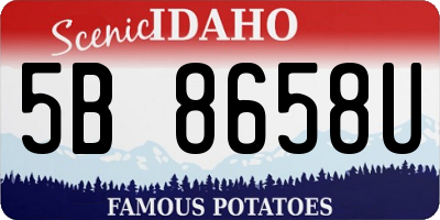 ID license plate 5B8658U