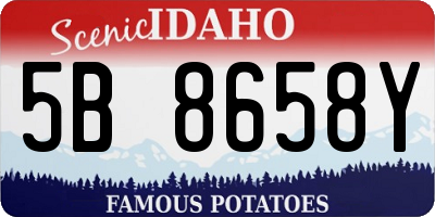 ID license plate 5B8658Y