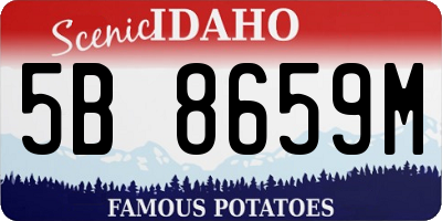 ID license plate 5B8659M