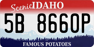 ID license plate 5B8660P