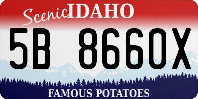 ID license plate 5B8660X