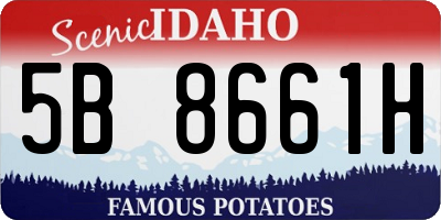 ID license plate 5B8661H