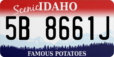 ID license plate 5B8661J