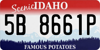 ID license plate 5B8661P