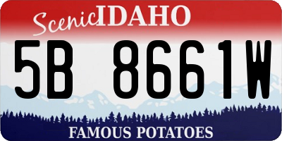 ID license plate 5B8661W