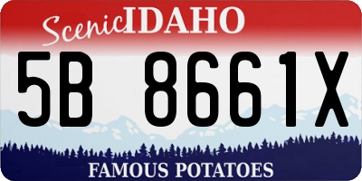 ID license plate 5B8661X