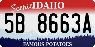 ID license plate 5B8663A