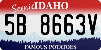 ID license plate 5B8663V