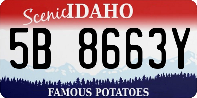 ID license plate 5B8663Y