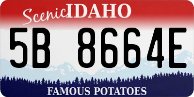 ID license plate 5B8664E