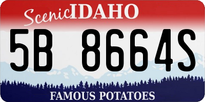 ID license plate 5B8664S