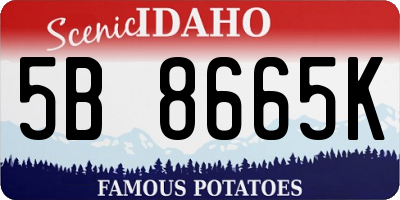 ID license plate 5B8665K